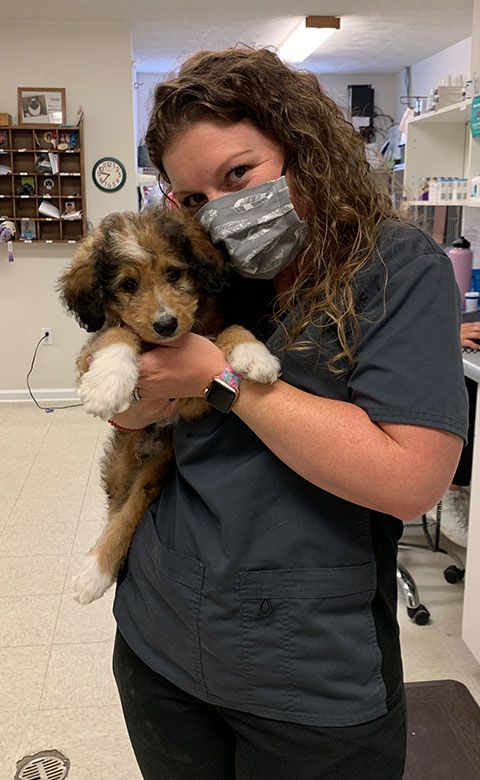 veterinarian holding a cute dog