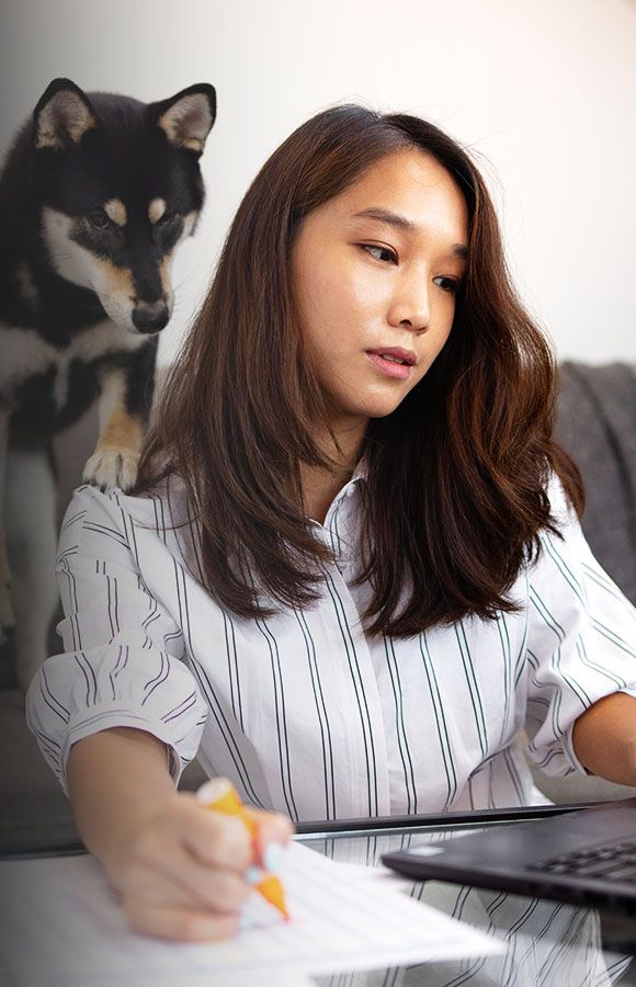 woman working with laptop and her black dog