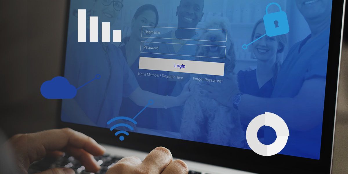 elevate dashboard verticalvet on laptop