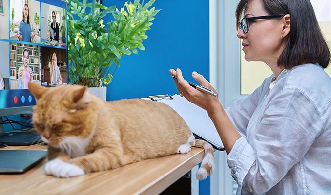 veterinarian with dog using laptop