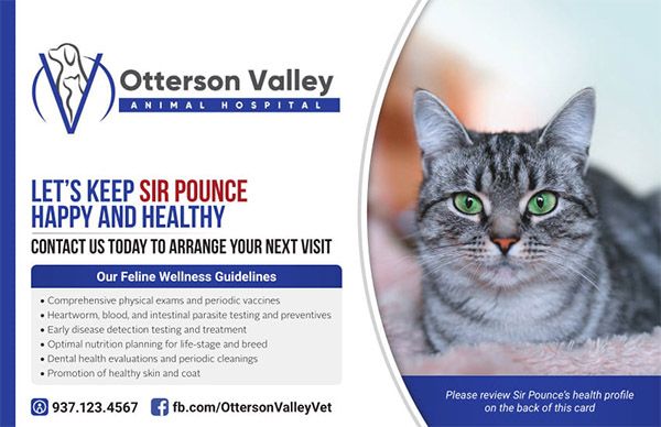 postcard reminder front cat's example