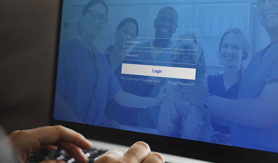 verticalvet login website
