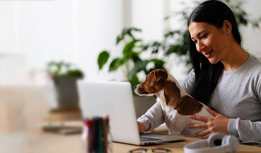 A woman seated at a desk, gently holding a dog on her lap, creating a cozy and warm atmosphere.