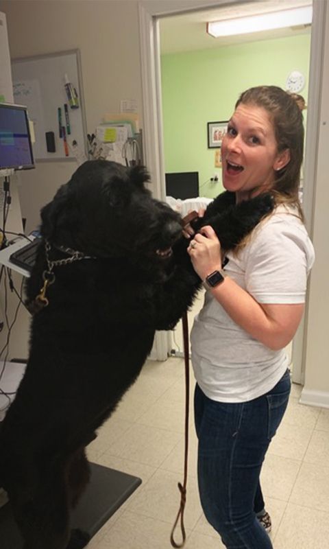 A woman is interacting with a black dog in an office setting