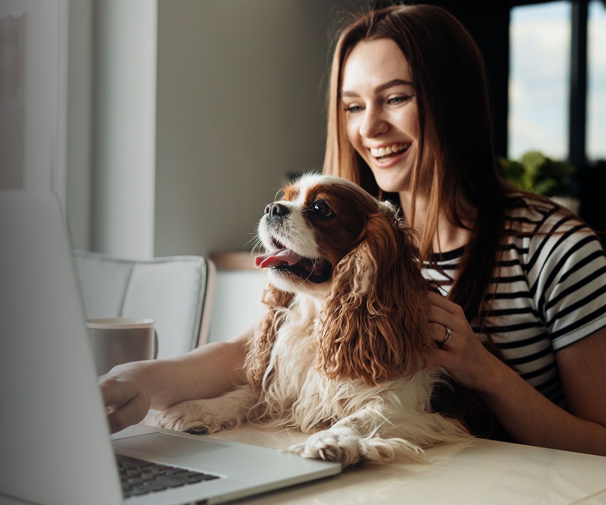 woman with cute dog looking at her laptop
